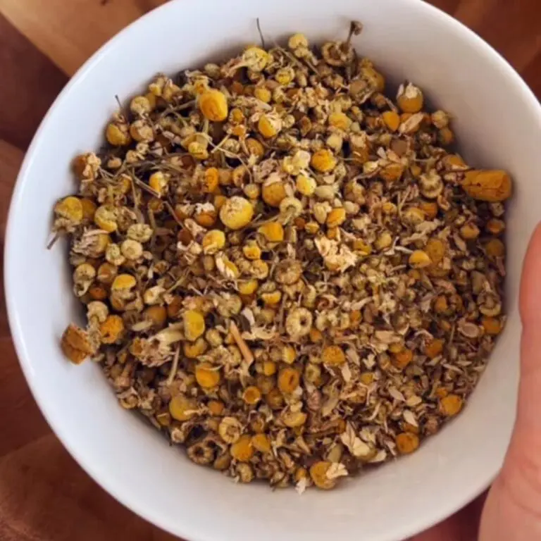 Dried herbs for sleepytime tea blend including chamomile, lavender, rose petals, hibiscus, and peppermint on white surface