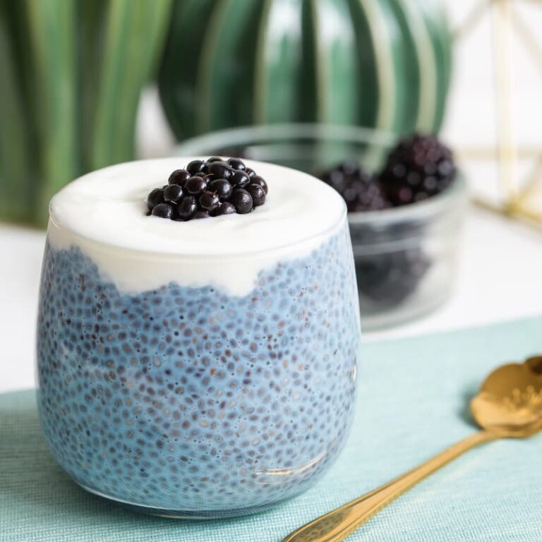 Comprehensive chia seeds preparation guide showing wet soaked chia pudding, dry chia seeds, ground chia powder, and baked chia muffins